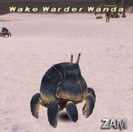 Wake Warder Wanda Picture