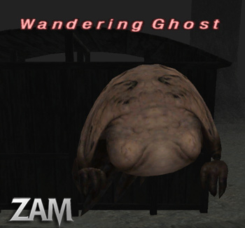Wandering Ghost Picture