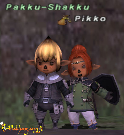 Pakku-Shakku Picture