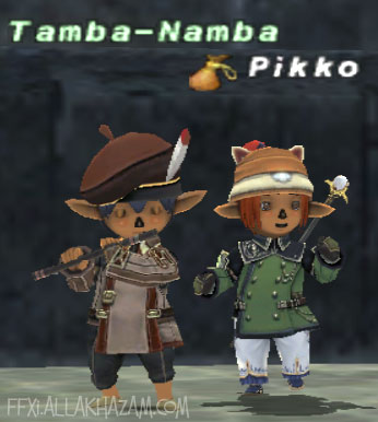 Tamba-Namba Picture