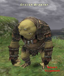Orcish Brawler Picture