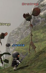 Orctrap Picture