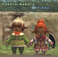 Pakora-Makora Picture