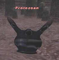 Protozoan Picture