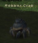 Robber Crab Picture