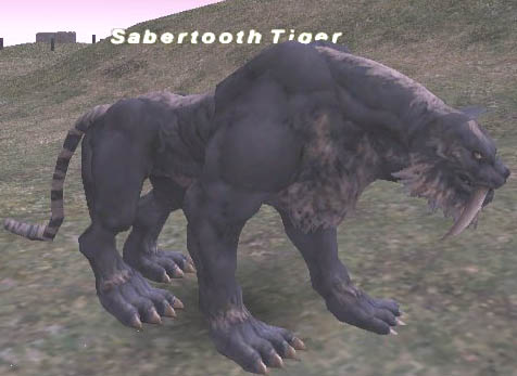 Sabertooth Tiger Picture
