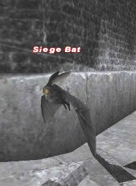 Siege Bat Picture