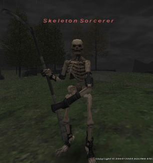 Skeleton Sorcerer Picture