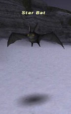 Star Bat Picture
