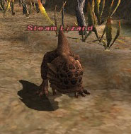 Steam Lizard Picture