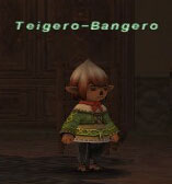 Teigero-Bangero Picture