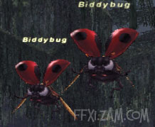 Biddybug Picture