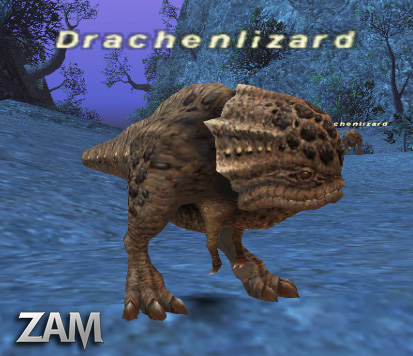 Drachenlizard Picture