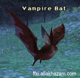 Vampire Bat Picture