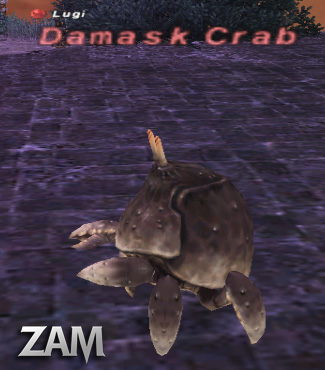Damask Crab Picture