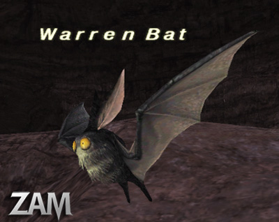 Warren Bat Picture
