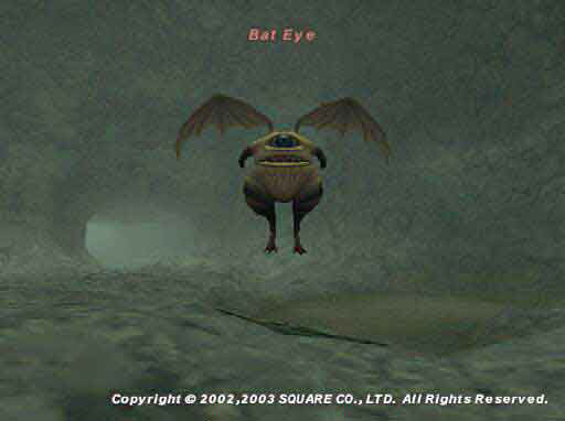 Bat Eye Picture