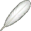 Swan Feather