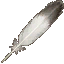 Eagle Feather