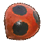 Ladybug Elytron