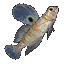 Merlthor Goby