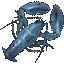 Cave Cherax