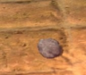 a rock