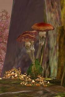 Sticky Mushroom