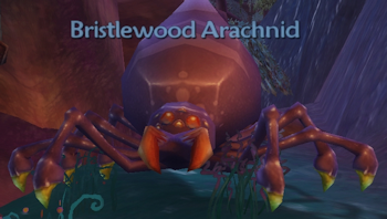 Bristlewood Arachnid