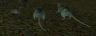 3 diseased rats