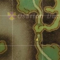 Winding Ascent