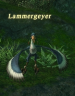 Thumbnail of This Lammergeyer killed me too!