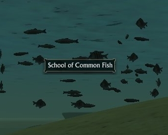 School of Common Fish