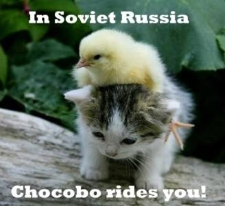 Chocobo rides you!