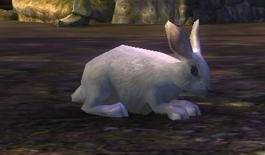 White Bunny Rift