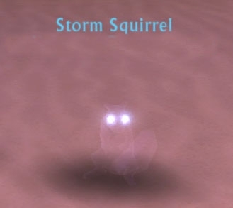 Storm Squirrel Companion