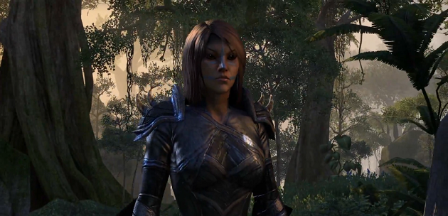 The Elder Scrolls Online Video Shows Character Creation