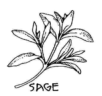 sage