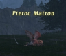 Thumbnail of Pteroc Matron