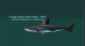 Thumbnail of Place Holder for The Megalodon