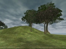 EQII: Vale of Halfpint Delight Preview