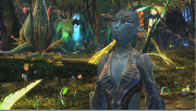 Growing the Sylvari