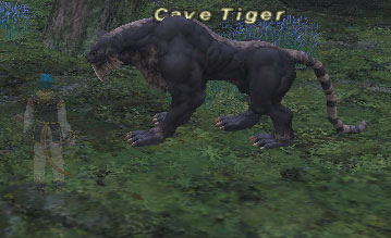 Cave Tiger Picture