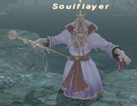 Soulflayer Picture