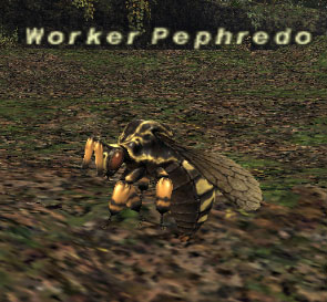 Worker Pephredo Picture