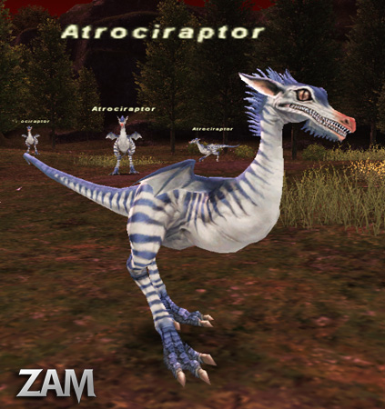 Atrociraptor Picture