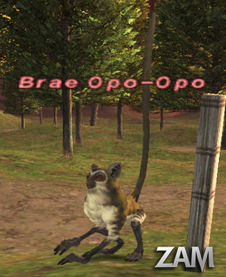 Brae Opo-Opo Picture