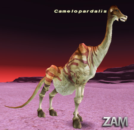 Camelopardalis Picture