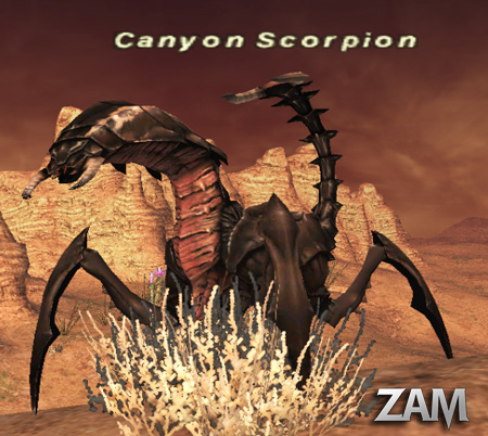 Canyon Scorpion Picture
