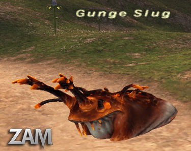 Gunge Slug Picture